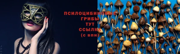 прущая мука Балахна